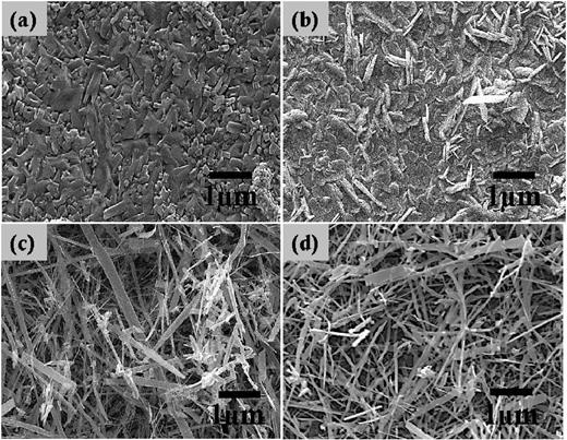 FIG. 6. SEM micrographs of vanadium metal foils oxidized at: (a) 6.5 × 10−2 Torr (b) 2.0 × 10−1 Torr, (c)-(d) the respective films deposited on glass at corresponding PO2 (all in oxygen plasma). 