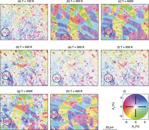 FIG. 4. (a-h) SEMPA domain images of an uncapped 10 nm thick FeRh(001) film on MgO(001) measured in zero field and at different temperatures as indicated. Images are taken in the sequence (a) to (h) and show the same sample area: Black circles mark the same features. (i) Color-wheel for the representation of the in-plane spin asymmetry vectors A(x, y) = (Ax, Ay) and scale bar for all images. 