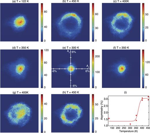 FIG. 5. (a-h) Two-dimensional spin asymmetry histograms of the temperature-dependent SEMPA images in Figs. 4(a)-4(h) showing the probability densities of the spin asymmetry vectors. (i) Temperature-dependent spin asymmetry determined from the radial extent of the distributions in (a-h). The solid line is as guide to the eyes. 