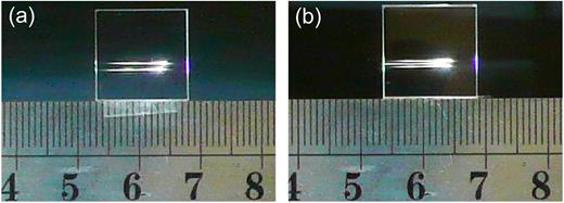 FIG. 9. The top views of the light filaments propagating inside the glass. (a) The case of n = m = 2 and L = 40 pixels and (b) the case of n = m = 3 and L = 40 pixels.