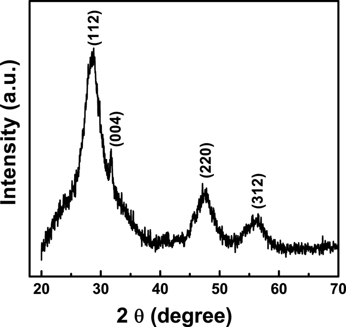 Solution processed Cu2SnS3 thin films for visible and infrared