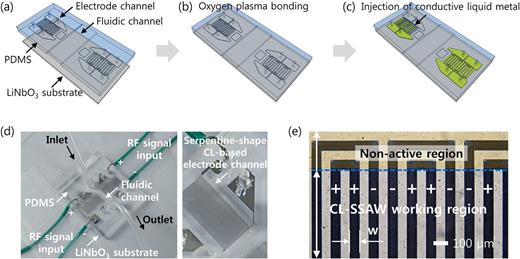 Continuous sheathless microparticle and cell patterning using CL-SSAWs ...