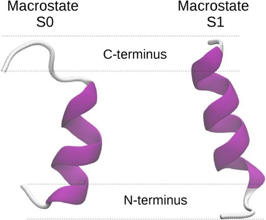 FIG. 1. Macrostates Left panel: Macrostate S0, population 50%, with the C-terminus in a coil structure. Right panel: Macrostate S1, population 48%. Only the N-terminus is slightly disordered. 