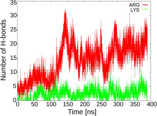 FIG. 5. HB Number of hydrogen bonds formed between arginine residues and phosphate groups (red line) and between lysine residues and phosphate groups (green line) for Penetratin near the membrane.