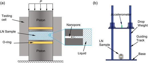 FIG. 1. Schematic of the experimental set-up of (a) the quasi-static compression test, and (b) the dynamic test.