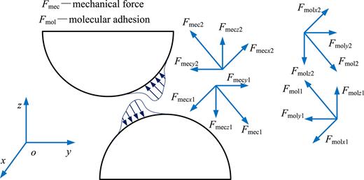 FIG. 2. Stress analysis on the contact surfaces of two mutual contact asperities.