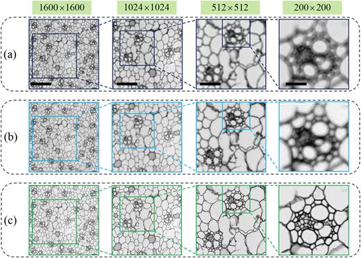 Graphics processing unit (GPU) aided wavefront-based autofocusing in ...