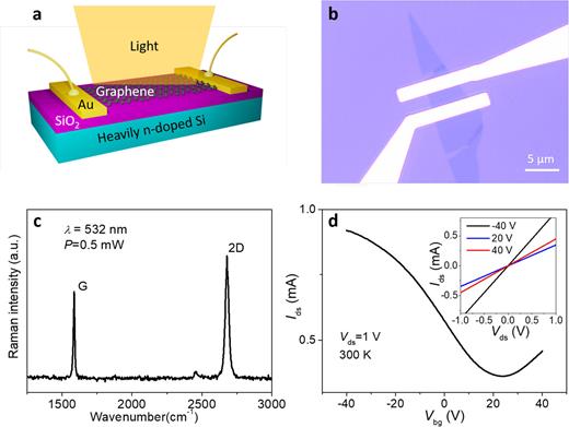 High responsivity graphene photodetectors from visible to near-infrared ...