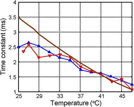 Characterization of atomic spin polarization lifetime of cesium vapor ...