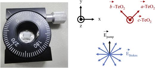 FIG. 3. TeO2 − α crystal sample orientation with respect to its crystallographic axes a→-TeO2, b→-TeO2 and c→-TeO2 (red arrows). The Stokes is randomly polarized (blue arrows) while the pump polarization is along y axis (black arrow).