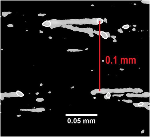 FIG. 3. X-Ray tomography side profile of layers formed from rising cavities.