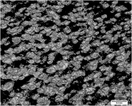 FIG. 5. X-Ray tomography showing a random distribution of CIP in PDMS 3% wt.