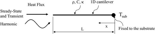 FIG. 2. 1D cantilever with heat flux at the tip and constant temperature at the opposite end. Steady-State and transient heat flux have a constant flux component, but harmonic heat flux has frequency.