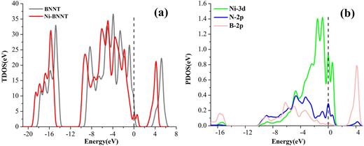 FIG. 3. Total density of states (a) and projected density of states (b) of Ni-BNNT.