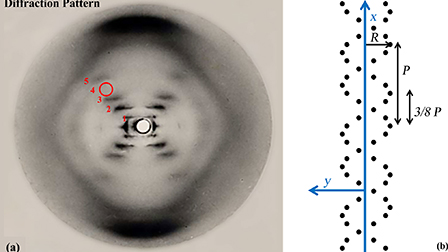 Rosalind Franklin's X-ray photo of DNA as an undergraduate optical ...