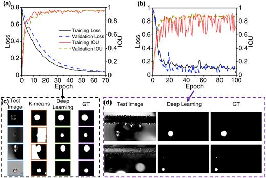 (a) Training and validation losses and intersection over unions (IOUs) during training the model on the reduced dataset. (b) Training and validation losses and IOUs during re-training of the model with a full-sized image dataset. (c) Examples of segmentation results from training the model on the reduced dataset [shown in (a)], showing the test image, segmentation results from k-means clustering + morphological closing (K-means), deep learning model, and ground truth masks (GT). (d) Examples of segmentation result from re-training the model with the full-sized image dataset [shown in (b)]. The legends in (a) are applicable to (b) as well.