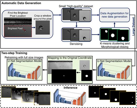 Summary of the self-supervised segmentation model showing the automatic data generation step, supervised training step, and inference on test examples.