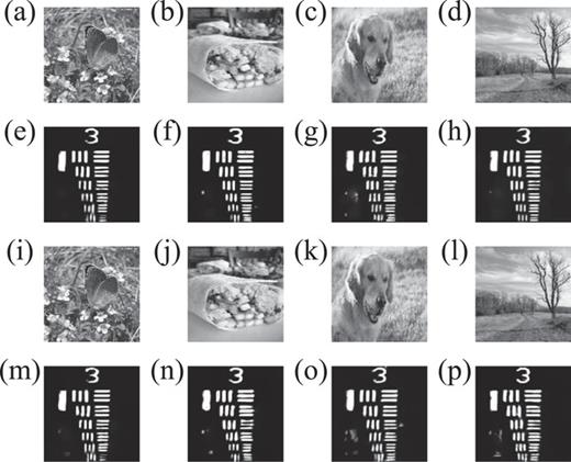 water diffraction experiment Experimental results: (a)–(d) the retrieved 2D images in static disordered media. PSNR values are 39.27, 40.25, 39.12, and 38.24 dB, and SSIM values are 0.9975, 0.9884, 0.9867, and 0.9884; (e)–(h) the reconstructed objects in static disordered media with CNR of 24.22, 24.83, 28.16, and 25.02, respectively; (i)–(l) the retrieved 2D images in dynamic disordered media. PSNR values are 39.71, 38.62, 39.09, and 40.16 dB, and SSIM values are 0.9973, 0.9810, 0.9899, and 0.9877; (m)–(p) the reconstructed objects in dynamic disordered media with CNR of 23.53, 21.09, 23.68, and 20.67, respectively. The size of the reconstructed object images is 128 × 128 pixels. For CNR calculations, signal part and background part are shown in Fig. S1 (see the supplementary material).