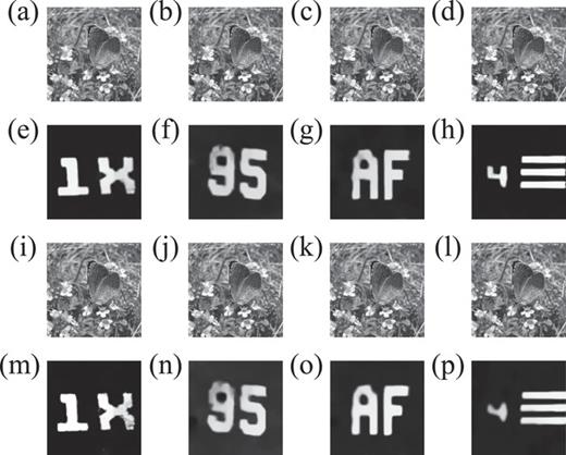 water diffraction experiment Experimental results: (a)–(d) the retrieved 2D transmitted images in static disordered media. PSNR values are 41.51, 41.49, 41.21, and 40.19 dB, and SSIM values are 0.9979, 0.9982, 0.9980, and 0.9972; (e)–(h) the reconstructed objects in static disordered media with CNR of 33.22, 40.11, 36.26 and 39.71, respectively; (i)–(l) the retrieved 2D transmitted images in dynamic disordered media. PSNR values are 39.96, 39.91, 38.12, and 38.51 dB, and SSIM values are 0.9976, 0.9978, 0.9970, and 0.9969; (m)–(p) the reconstructed objects in dynamic disordered media with CNR of 30.66, 22.19, 25.45 and 25.82, respectively. For CNR calculations, the signal part and background part are shown in Fig. S1 (see the supplementary material).