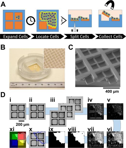 Automated sensing and splitting of stem cell colonies on microraft ...