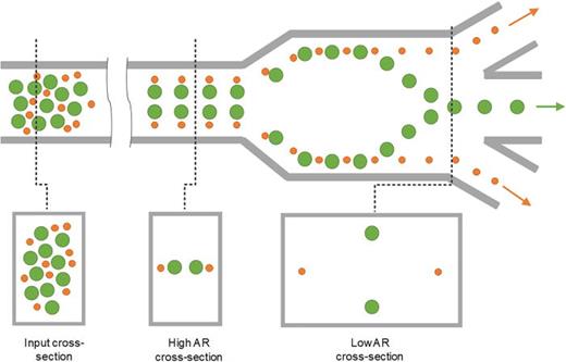 Label-free microfluidic sorting of microparticles | APL Bioengineering ...