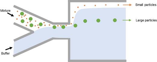 Label-free microfluidic sorting of microparticles | APL Bioengineering ...