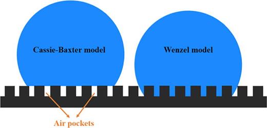 FIG. 3. Cassie–Baxter model vs Wenzel model.