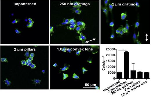 FIG. 7. Human umbilical vein endothelial cell adhesion on polyvinyl alcohol (PVA) hydrogels with different topographies. Reprinted with permission from Cutiongco et al., Biomaterials 84, 184–195. Copyright 2016 Elsevier.23
