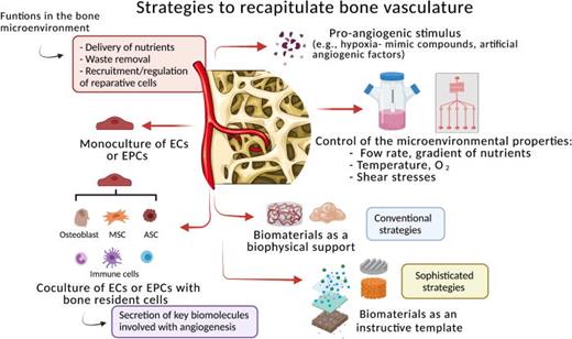 New insights into the biomimetic design and biomedical applications of ...