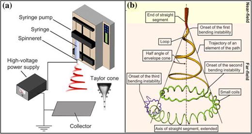FIG. 2. Schematic diagram of (a) a basic setup of electrospinning and (b) the path of an electrospun jet with bending instability. Reproduced with permission from Xue et al., Chem. Rev. 119, 5298 (2019). Copyright 2019 American Chemical Society.27