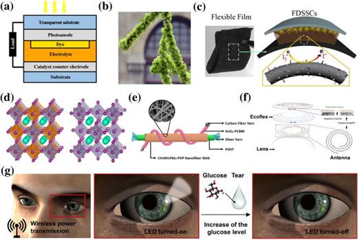 FIG. 6. (a) Schematic structure of DSSCs, (b) flower-like DSSC with the nanofiber counter electrode, (c) flexible DSSC yarn and film with the nanofiber counter electrode, (d) single and double perovskite atomic structure, (e) perovskite yarn solar cell using CH3NH3PbI3–PVP nanofiber as an active layer, (f) schematic illustration of a stretchable transparent antenna, and (g) schematic illustration of a soft, smart contact lens. Reproduced with permission from Nien et al., Vacuum 167, 47 (2019). Copyright 2019 Elsevier. Reproduced with permission from Li et al., Electrochim. Acta 280, 94 (2018). Copyright 2018 Elsevier. Reproduced with permission from Song et al., Mater. Res. Bull. 118, 110522 (2019). Copyright 2019 Elsevier. Reproduced with permission from El-Shazly et al., ACS Appl. Nano Mater. 2, 7085 (2019). Copyright 2019 American Chemical Society. Reproduced with permission from Li et al., Sol. RRL 4, 2000269 (2020). Copyright 2020 Wiley-VCH GmbH. Reproduced with permission from Kim et al., Nat. Commun. 8, ▪ (2017). Copyright 2017 Authors, licensed under a Creative Commons Attribution 4.0 International license (CC BY 4.0). Reproduced with permission from Park et al., Sci. Adv. 4, eaap9841 (2018). Copyright 2018 Authors, licensed under a Creative Commons Attribution (CC BY) license.127,138,140,141,146,161,162
