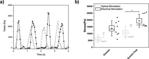 Extracted contractile MTF curves activity. Data extracted from the acquired video using a custom ImageJ script. (a) Representative stress traces for each stimulation methods. (b) Stress summary representing the diastolic and peak systolic stresses extracted for photostimulation (N = 10 cantilevers, 2 chips) and electrical stimulation (N = 8 cantilevers). Light gray color was used to indicate the photostimulated MTFs while dark gray was used for electrical-triggered MTFs.