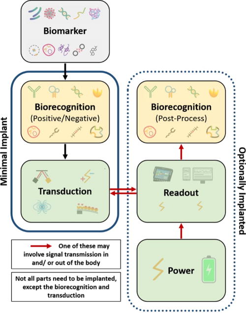 Conceptual diagram of an implanted sensor. Arrows indicate the general process flow, with one of the red arrows in many if not most cases having to pass from inside the body to the outside. A minimal implanted sensor will only contain the elements shown on the left inside the body; the optionally implanted elements are indicated on the right. Specific biorecognition of the biomarker can take place as on-sensor (positive or negative) or as off-sensor post-processing; at least one is required, though often both will be present in some form. See the text for additional details.