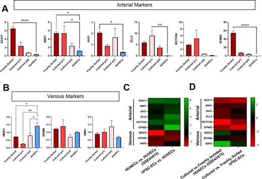 hPSC vascular differentiation in 2D generates functional hPSC-ECs with an arterial-like phenotype. (a) Gene expression of arterial-related genes assessed by qPCR: hPSC-2D-derived ECs immediately after sorting (freshly sorted), cultured for 2–4 days for one (p1) or 7–9 days for two passages (p2) and HUVECs (p4) (2-dCt *105 normalized to Rn18s). Bars represent mean ± standard error. n = 3 samples, ANOVA, post hoc compared to HUVECs. *p ≤ 0.05, **p ≤ 0.005, and ****p ≤ 0.00005. (b) Gene expression of venous-related genes assessed by qPCR: hPSC-2D-derived ECs immediately after sorting (freshly sorted), cultured for 2–4 days for one (p1) or 7–9 days for two passages (p2) and HUVECs (p4) (2-dCt *105 normalized to Rn18s). Bars represent mean ± standard error. n = 3 samples, ANOVA, post hoc compared to HUVECs. *p ≤ 0.05 and **p ≤ 0.005. (C) Heat map of gene expression (logFC) of arterial- and venous-related genes. Column one compares freshly isolated HUAECs to HUVECs from dataset GSE43475. Green indicates higher gene expression in HUAECs compared to HUVECs. Red indicates lower gene expression in HUAECs compared to HUVECs. Column two reports logFC from our qPCR dataset between immediately after sorting hPSC-ECs (freshly sorted) to HUVECs (p4). Green indicates higher gene expression in hPSC-ECs compared to HUVECs. Red indicates lower gene expression in hPSC-ECs compared to HUVECs. (d) Heat map of gene expression (logFC) of arterial and venous related genes. Column one compares cultured to freshly isolated HUAECs from dataset GSE43475. Green indicates higher gene expression in cultured compared to freshly isolated HUAECs. Red indicates lower gene expression in cultured compared to freshly isolated HUAECs. Column two reports logFC from our qPCR dataset compares cultured (p2) to immediately after sorting hPSC-ECs (freshly sorted). Green indicates higher gene expression in cultured compared to freshly sorted hPSC-ECs. Red indicates lower gene expression in cultured compared to freshly sorted hPSC-ECs.