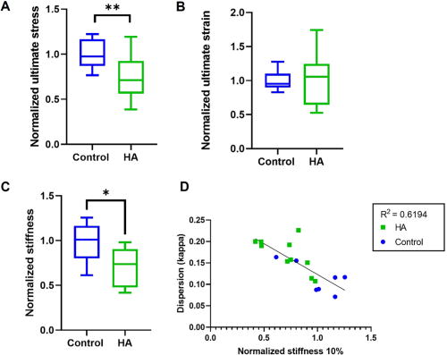 A tissue-engineered model of the atherosclerotic plaque cap: Toward ...