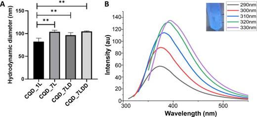 (A) DLS readings for the hydrodynamic diameter/size (nm) of CQD_1L, CQD_7L, CQD_7LD, and CQD_7LDD, with the statistical differences between the different nanoparticles outlined by *. (B) PL spectra of the CQDs_7LDD at a range of excitation wavelengths, inset is the CQDs_7LDD under 365 nm UV light and the resulting color it displays (blue).