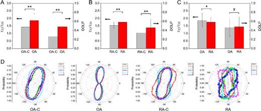 Histogram representation of the χ33/χ31 and DOLP features (n = 5) of the cartilage tissues: (a) OA-C vs OA, (b) RA-C vs RA, and (c) OA vs RA. * indicates p < 0.05 and ** indicates p < 0.01. (d) Polar histogram of the planar orientation of collagen fibrils for OA-C, OA, RA-C, and RA. The numbers (1)–(6) shown in the top-right corner are the results corresponding to the images in Figs. 2(e), 3(e), 4(e), and 5(e) from left to right.