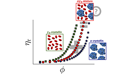 Testing mixing rules for structural and dynamical quantities in multi ...
