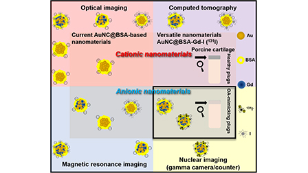Iodinated gadolinium-gold nanomaterial as a multimodal contrast agent ...