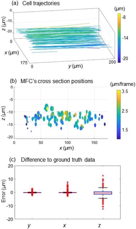 3D cell localization. (a) 3D trajectory diagram of all cells flowing along the MFC. (b) Cell positions are taken in the x-z cross section at the end of the MFC, with corresponding flow velocities in the colorbar. The circle's radius corresponds to the cell's equivalent radius. MFC: microfluidic channel. (c) Box plots of the error distributions about the x-, y-, and z-positions computed by the proposed method with respect to the GT. A total of 8432 positions are considered. Multimedia available online. 