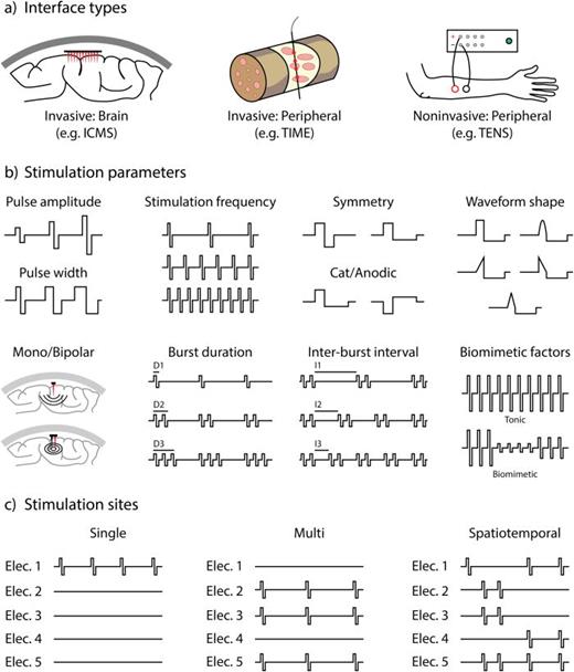 Sensory encoding of neural interface. (a) Examples of different types of neural interfaces. (b) Possible stimulation parameters that can be optimized. (c) Possible ways of selecting the stimulation sites.