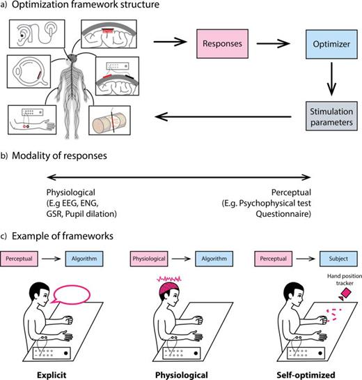 Frameworks for sensory encoding optimization. (a) Skeletal structure of a generic optimization framework. (b) Possible modality of responses that can be recorded. (c) Example of different frameworks depending on the combination of types of response and optimizer.