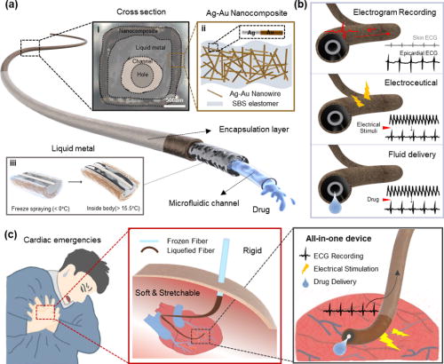 Device configuration and operating mechanism. (a) The stretchable, cylindrical-shaped fiber, composed of a tri-layer structure, is characterized as follows: (i) a cross-sectional optical microscopic image features inner composition. (ii) The elastomeric outer shell, which consists of a composite of silver–gold core-shell nanowires and SBS polymer, encapsulates (iii) the liquid metal core (eutectic gallium–indium) with a centrally positioned microfluidic channel. The liquid metal transitions between a frozen and liquid state depending on the temperature, enabling minimally invasive implantation. (b) The conductive body and integrated drug channel enable three primary functions, electrogram recording, electrical modulation, and drug delivery. (c) In cardiac emergencies, the frozen fiber rapidly penetrates tissues and transitions to a low-modulus state due to the adaptive modulus properties of the liquid metal. The transition allows the fiber to conform to the epicardial surface. By simultaneously offering multiple operations, the device facilitates effective and immediate therapy.