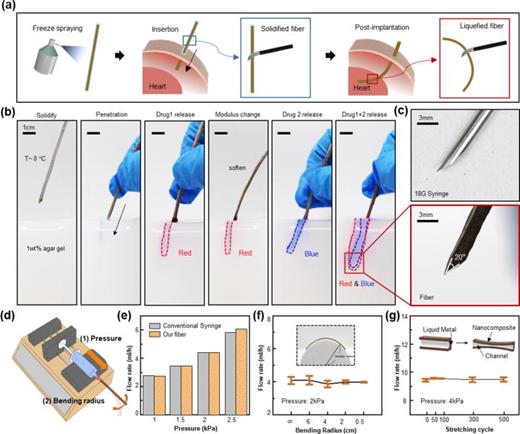 Fluidic delivery ex vivo demonstration and performance evaluation. (a) The process of minimally invasive implantation using freeze spraying. (b) The multiple drug delivery is validated in an ex vivo experiment using 1 wt% agarose gel. (c) The end of the fiber is sharpened like conventional needle, allowing for easy penetration. (d) A syringe pump is used to maintain constant pressure, and (e) the fiber achieves a flow rate similar to a conventional syringe, depending on the applied pressure. (f) The fiber maintains a consistent flow rate under various bending radius and (g) across different stretching cycles.