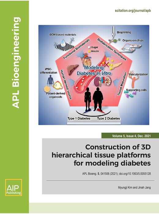 APL Bioengineering Cover Image for Volume 5, Issue 4