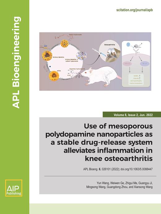 APL Bioengineering Cover Image for Volume 6, Issue 2