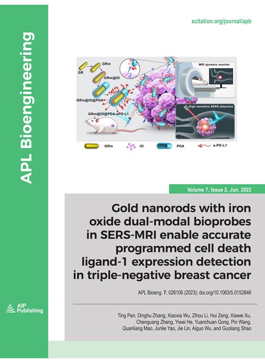 APL Bioengineering Cover Image for Volume 7, Issue 2