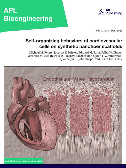APL Bioengineering Cover Image for Volume 7, Issue 4