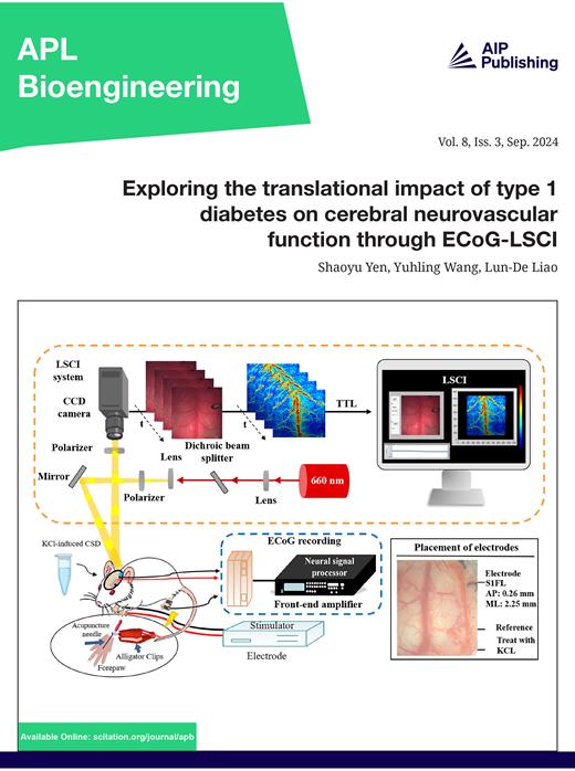 APL Bioengineering Cover Image for Volume 8, Issue 3