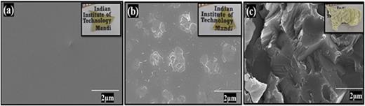 SEM images of the (a) as-prepared (AQ), (b) HT30m, and (c) HT1h samples. The insets show optical images.